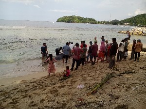 Paus Mati Terdampar di Pantai Tapaktuan