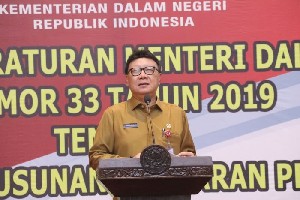 Mendagri Minta Pemda Serap dan Realisasi APBD Dengan Tepat