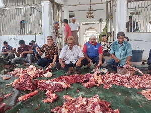 Gampong Ceurih Sembelih Hewan Kurban 12 Sapi dan 20 Kambing