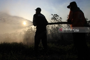 Kebakaran Hutan di Meulaboh Makin Meluas, Seorang Petugas Pingsan