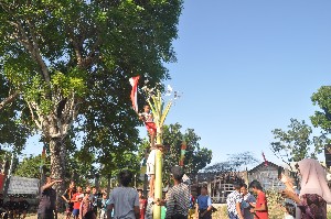 Peringati HUT RI, Warga Banda Aceh ini Gelar Lomba Panjat Pisang