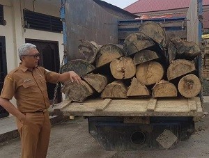 KPH Wilayah III Aceh Sita 12 Ton Kayu Tanpa Dokumen