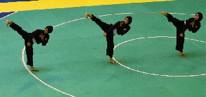 Unesco Tetapkan Pencak Silat Sebagai Warisan Dunia