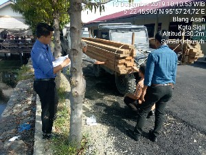 Dua Pelaku Pengangkut Kayu Tanpa Dokumen Ditangkap Tim Polres Pidie