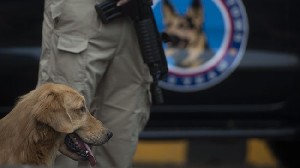 Cegah Peredaran Narkoba Menjelang Tahun Baru, Polisi Terjunkan Anjing Pelacak Periksa Bus Keluar Aceh